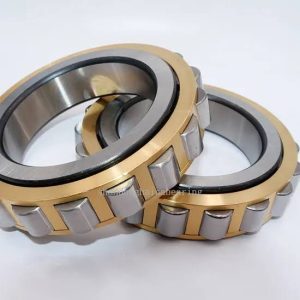 Cylindrical Roller Bearing RN309 SKF