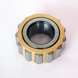 Cylindrical Roller Bearing RN204 SKF
